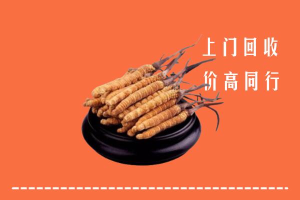 高价求购：玉龙县回收散虫草
