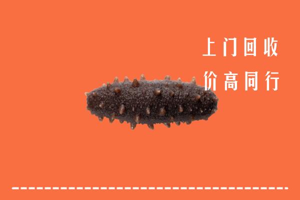 玉龙县回收海参