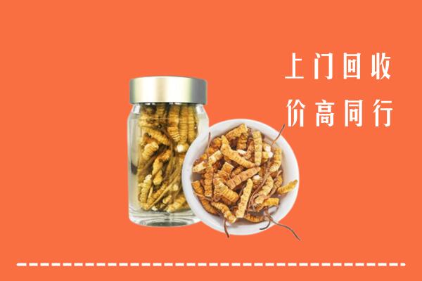 玉龙县回收冬虫夏草